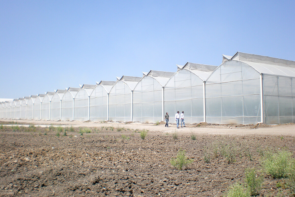cost to build a greenhouse, How much does a greenhouse cost?, 1 acre of greenhouse cost in 2023?, How much does 1 acre of greenhouse cost in 2023?,Greenhouse Steel Construction Cost,Greenhouse Film Cost, greenhouse cost