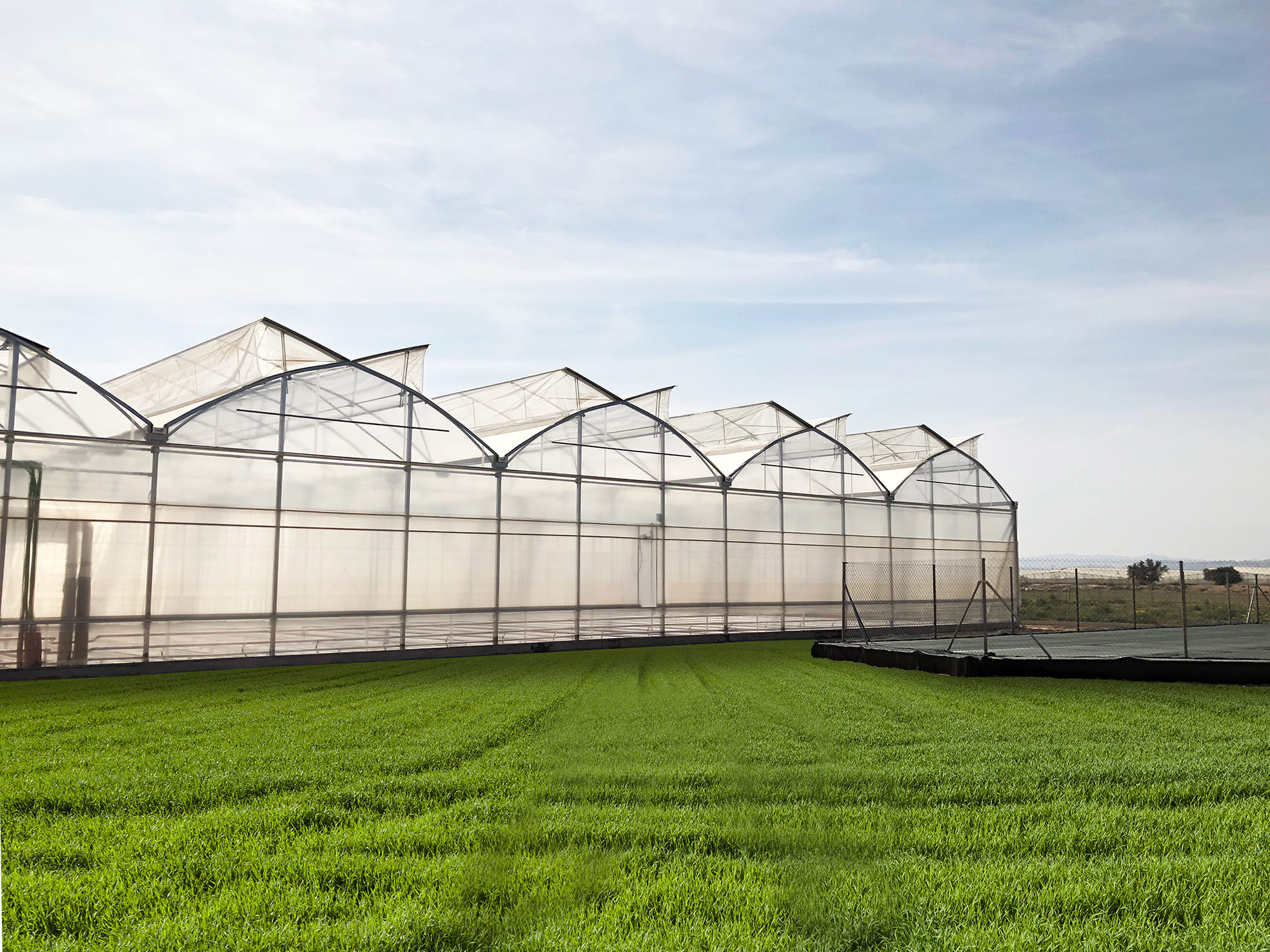What are the Benefits of Polycarbonate Sheets for Greenhouse Projects?

