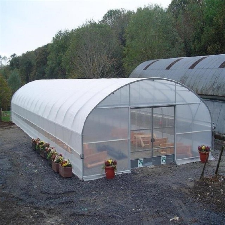 Tunnel greenhouses, which have a classical shape, are installed in an oval closure on a longitudinal tunnel structure. 