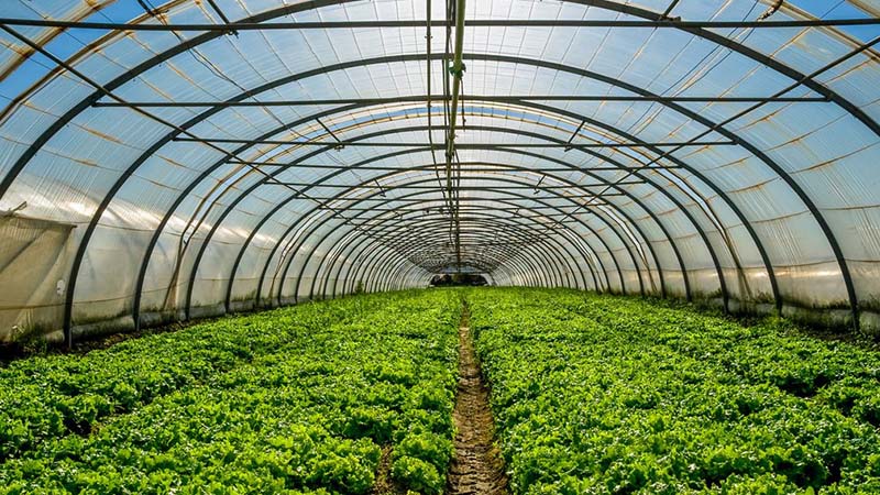 Today, soil agricultural greenhouses have an important place in the agricultural sector. In soil agricultural greenhouses, it is possible to grow plants both in growing seasons and in other seasons.
